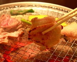 炭火焼鶏Dining UP-ROAR