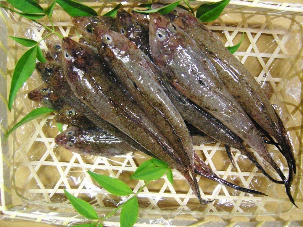 旬の食材、新鮮な海の幸