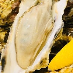 函館産なまら大きい牡蠣(生牡蠣／焼き牡蠣／蒸し牡蠣)