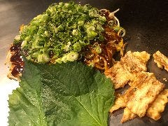 店長おすすめ！（ネギ・大葉・いか天　入り）肉玉　そばorうどん