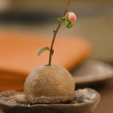 想いの木_プチランチ 想いの木コース