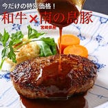 和牛＆宮崎県産！南の島豚使用【ハンバーグステーキ ドゥミグラス】