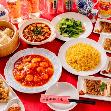 四川料理・麻辣十食_名物料理が揃う多彩なコース