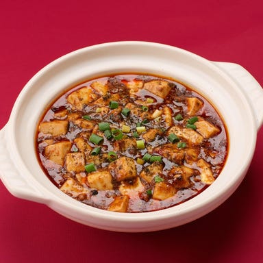 四川料理・麻辣十食_四川麻婆豆腐
