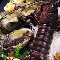 浅草 魚料理 遠州屋  コースの画像