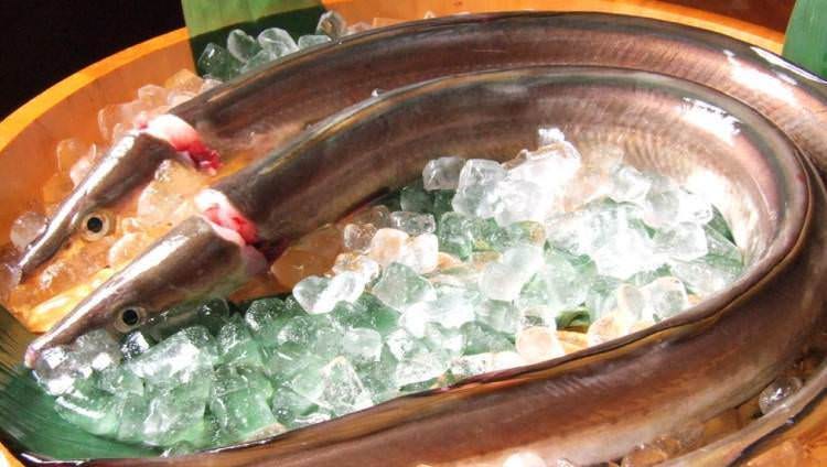 浅草 魚料理 遠州屋