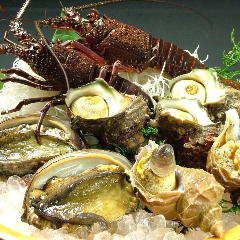 浅草 魚料理 遠州屋 