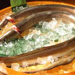 浅草 魚料理 遠州屋