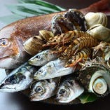 柳橋市場にて料理人が厳選した、その日・その季節の旨い魚介類。