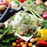 野菜もお肉もバランス良く♪当店のサラダは鮮度抜群の地元野菜がタップリです。