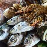 柳橋市場にて毎朝目利きする、今が旬の魚介類を日替わりの刺身で