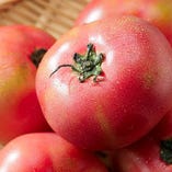 京都久御山の農場から産地直送で仕入れた瑞々しい「のぶのトマト」。素材そのままの美味しさをぜひ一度ご賞味ください。