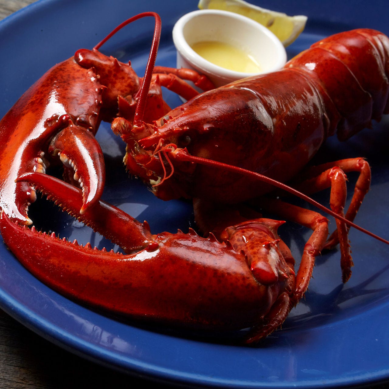 レッドロブスター 練馬関町店（上石神井/シーフード（シーフード料理