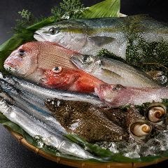 春夏秋冬…季節の魚をご用意しております。