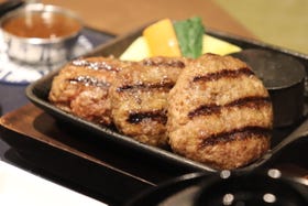 ハンバーグかしわ野