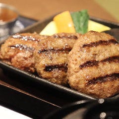 ハンバーグかしわ野