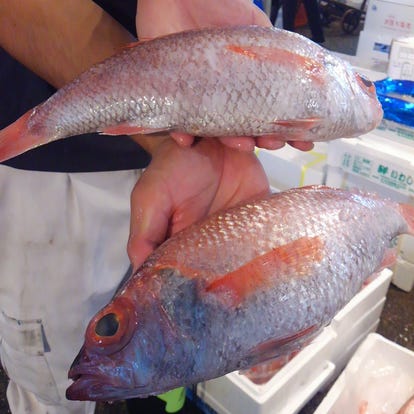 美味しいお店が見つかる 江坂 海鮮 海鮮料理 個室 おすすめ人気レストラン ぐるなび