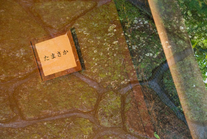 たまさか 西麻布 会席料理 ぐるなび