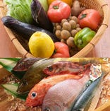 新鮮な魚介類や旬のお野菜も豊富にご用意！お造りも旨い！