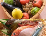 使用する食材も旬の物を中心に
新鮮なお魚や野菜が揃います！