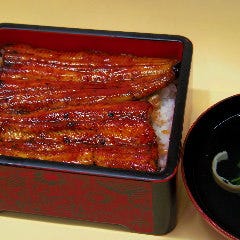 うなぎ 天ぷら 山家