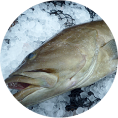 実味実 和房 かぶと 