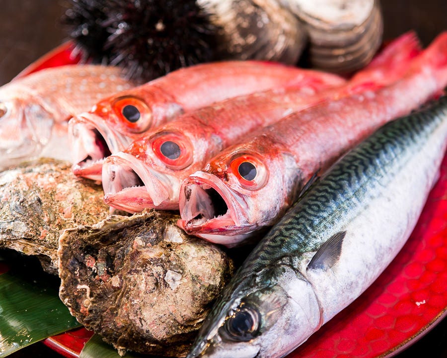 新潟から直送する鮮魚を中心に
新鮮な魚介類を楽しめます