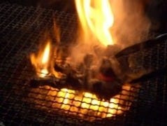 地鶏ばやし
