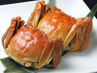 厳選 溝の口の浜焼き カニなど魚料理の店まとめ15選