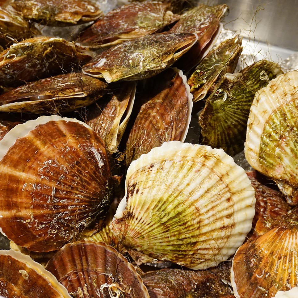 産直鮮魚貝類卸 魚七鮮魚店 稲毛直売所 自慢の食材 殻付き活ホタテ ぐるなび
