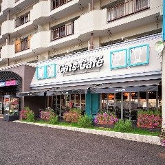 キャッツカフェ港店