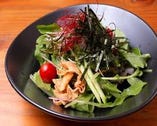 彩り新鮮10種野菜のチョレギサラダ