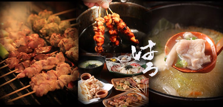 炭火焼鳥 はる 深江北店