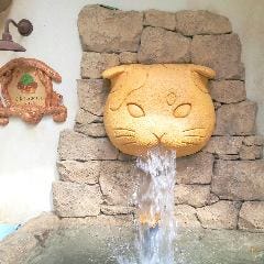 Cat Cafe てまりのおしろ