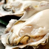 当店自慢の牡蠣【北海道など季節にあわせて仕入れています。】