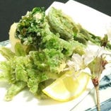 [新潟]山菜天麩羅