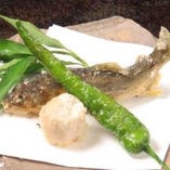 ［郡上］　天然あゆ唐揚げ