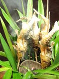 ［郡上］天然あゆ塩焼