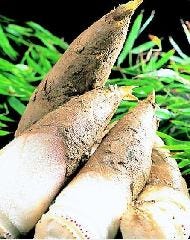 京都伝統野菜を使用した京料理