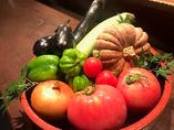 季節の有機野菜【長野県阿智村】