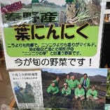 神奈川県秦野産「葉にんにく」【神奈川県】