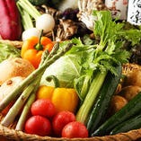 《こだわりの食材》契約農家から届く旬の京野菜を使用！
