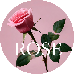 Mix Bar ROSE