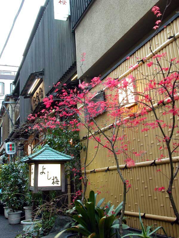 駅近の細い路地にたたずむ日本料理屋