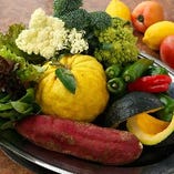 埼玉県草加市谷塚の有機野菜を使用しています