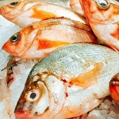 日本各地から集まる旬の魚介類は主に前菜で使用します 　