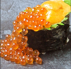 杉玉 横浜西口店