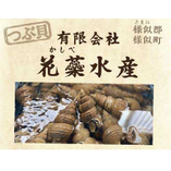 つぶ貝～有限会社 花蘂水産～