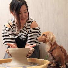 愛犬の駅 写真 ぐるなび