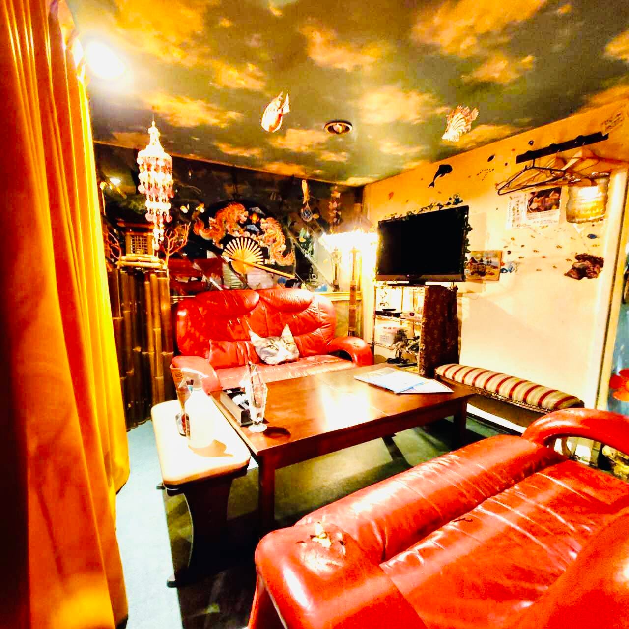 22年 最新グルメ 隠れ家 個室 カメハウス 京王永山店 多摩センター レストラン カフェ 居酒屋のネット予約 東京版 22年 最新グルメ 隠れ家 個室 カメハウス 京王永山店 多摩センター レストラン カフェ 居酒屋のネット予約 東京版